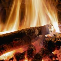 Explore various materials that can help you start a fire efficiently, ensuring warmth and safety in outdoor survival situations.