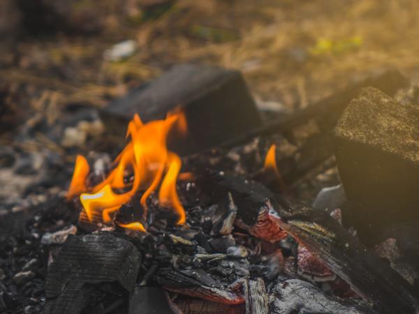 Sunset bonfire in the forest