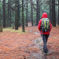 Learn how to choose effective rain gear to keep you dry and comfortable during outdoor adventures.