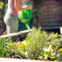 Explore the fundamentals of homesteading and DIY projects to enhance your self-sufficiency and connect with nature.