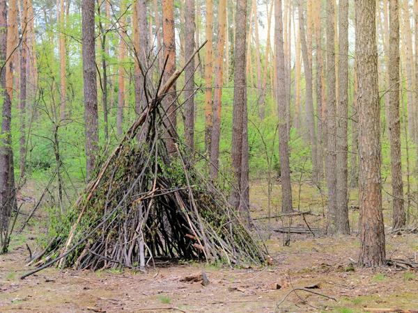 primitive survival shelter