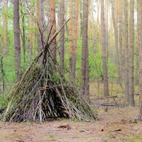 This guide provides practical steps and tips for building effective shelters in various wilderness environments.