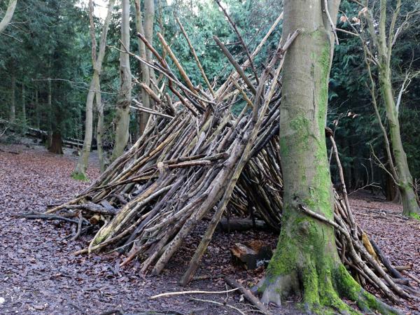 A-frame survival shelter in the woods