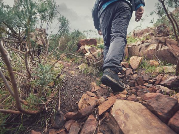 Hiking Wilderness Survival